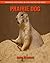Prairie Dog: Amazing Pictur...
