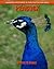 Peacock: Amazing Pictures &...