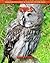 Owls: Amazing Pictures & Fu...