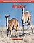 Nyala: Amazing Pictures & Fun Facts for Kids