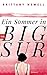 Ein Sommer in Big Sur: Roman (German Edition)