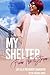 My Shelter From The Storms:...