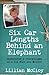 Six Car Lengths Behind an Elephant: Undercover & Overwhelmed as a CIA Wife and Mother