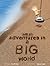 Small Adventures in a Big World by Ann Phillips