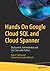 Hands On Google Cloud SQL and Cloud Spanner: Deployment, Administration and Use Cases with Python