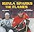 Iginla Sparks the Flames