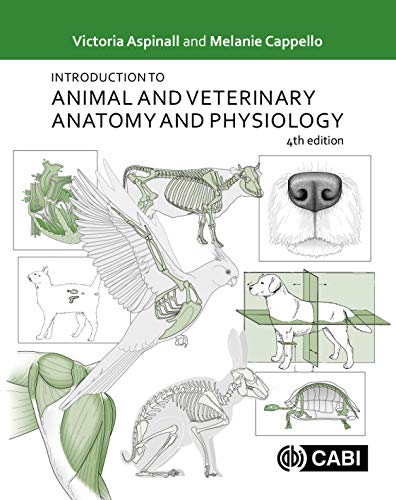 Introduction to Animal and Veterinary Anatomy and Physiology (Paperback)
