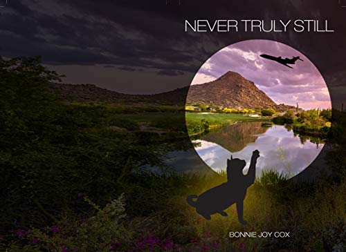 Never Truly Still (Little Australia Book 3)