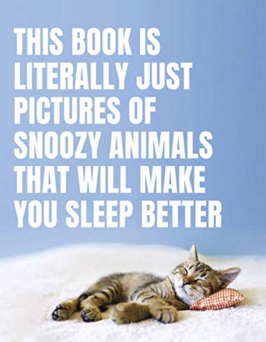 This Book Is Literally Just Pictures of Snoozy Animals That Will Make You Sleep Better (Hardcover)