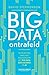 Big data ontrafeld