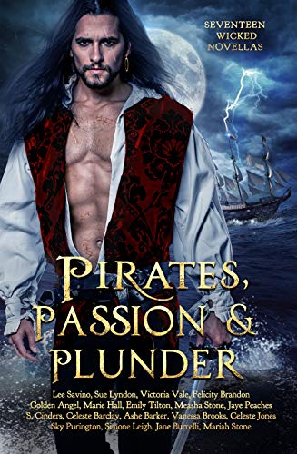 Pirates, Passion and Plunder: seventeen wicked novellas (ebook)