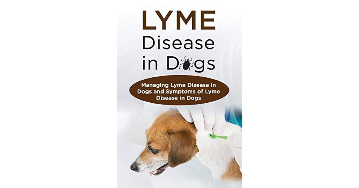 Lyme Disease in Dogs Managing Lyme Disease in Dogs and Symptoms of