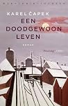 Een doodgewoon leven