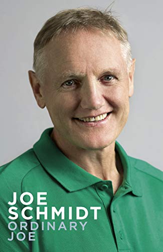 Ordinary Joe (Hardcover)