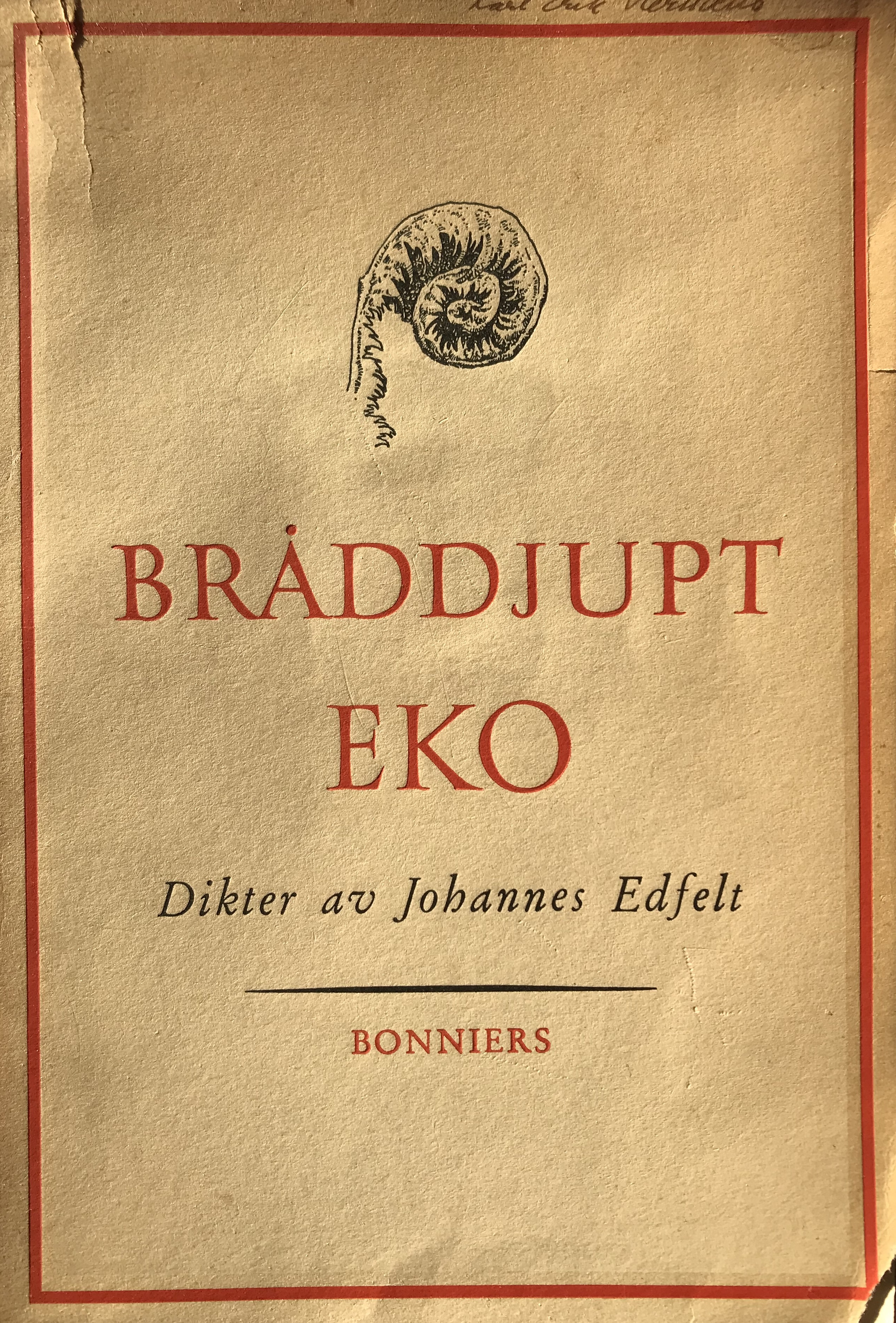 Bråddjupt eko