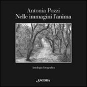 Nelle immagini l'anima. Antologia fotografica (Paperback)
