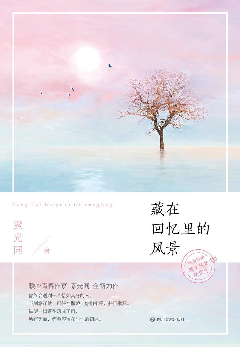 藏在回忆里的风景 (Paperback)