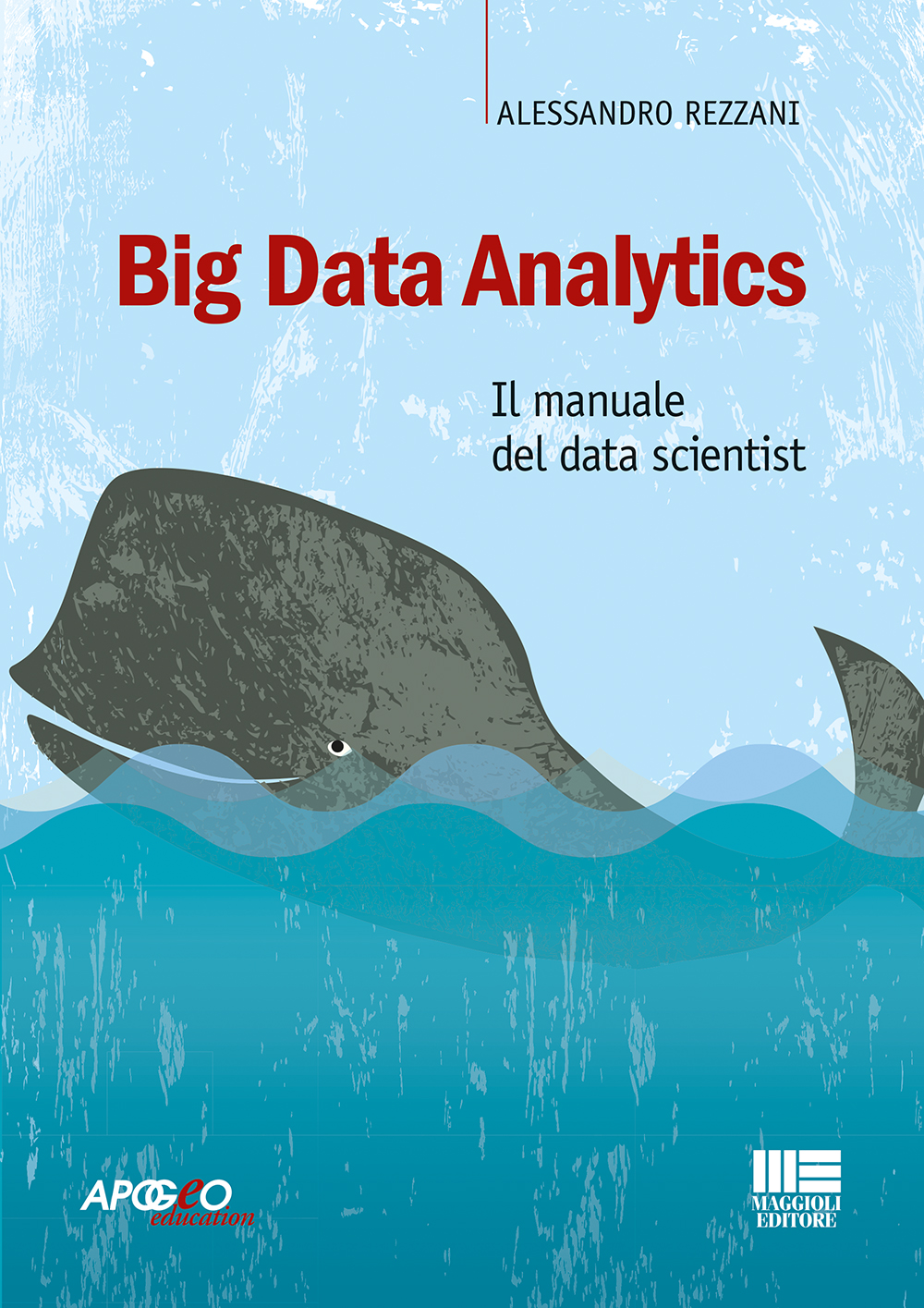 Big data analyitics (Paperback)