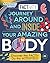Factivity Journey Around and Inside Your Amazing Body (Discovery Kids)