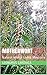 Motherwort: Natural Herbal ...