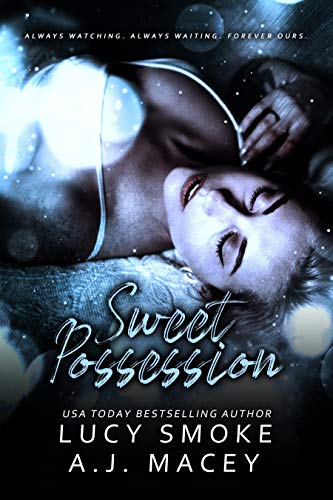 Sweet Possession (Criminal Underground #1)