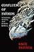 Confluence of Swords (Warriors, Heroes, and Demons)