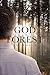 God in the Forest