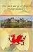 The last days of Welsh inde...