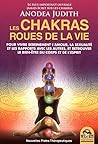 LES CHAKRAS ROUES...
