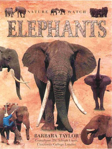 Elephants (Nature Watch)