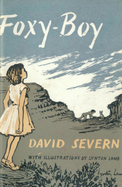 Foxy-Boy (Hardcover)