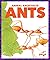 Ants (Pogo: Animal Architects)