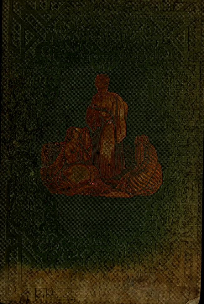 Turkish Evening Entertainments: The Wonders of Remarkable Incidents and the Rarities of Anecdotes (Hardcover)