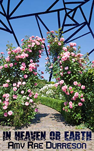 In Heaven or Earth (Kindle Edition)