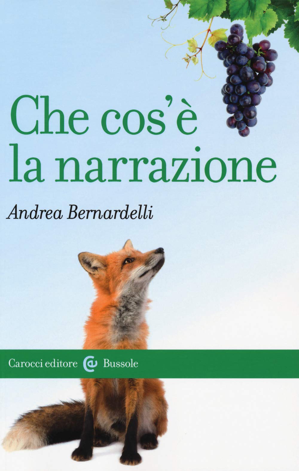 Che cos'è la narrazione (Paperback)