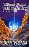 Steel Waters (Twin Souls #13)