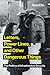 Letters, Power Lines, and Other Dangerous Things: The Politics of Infrastructure Security