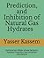 Prediction, and Inhibition of Natural Gas Hydrates by Yasser Kassem