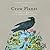 Crow Planet: Essential Wisdom from the Urban Wilderness