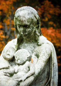 La transformación (Audiobook)