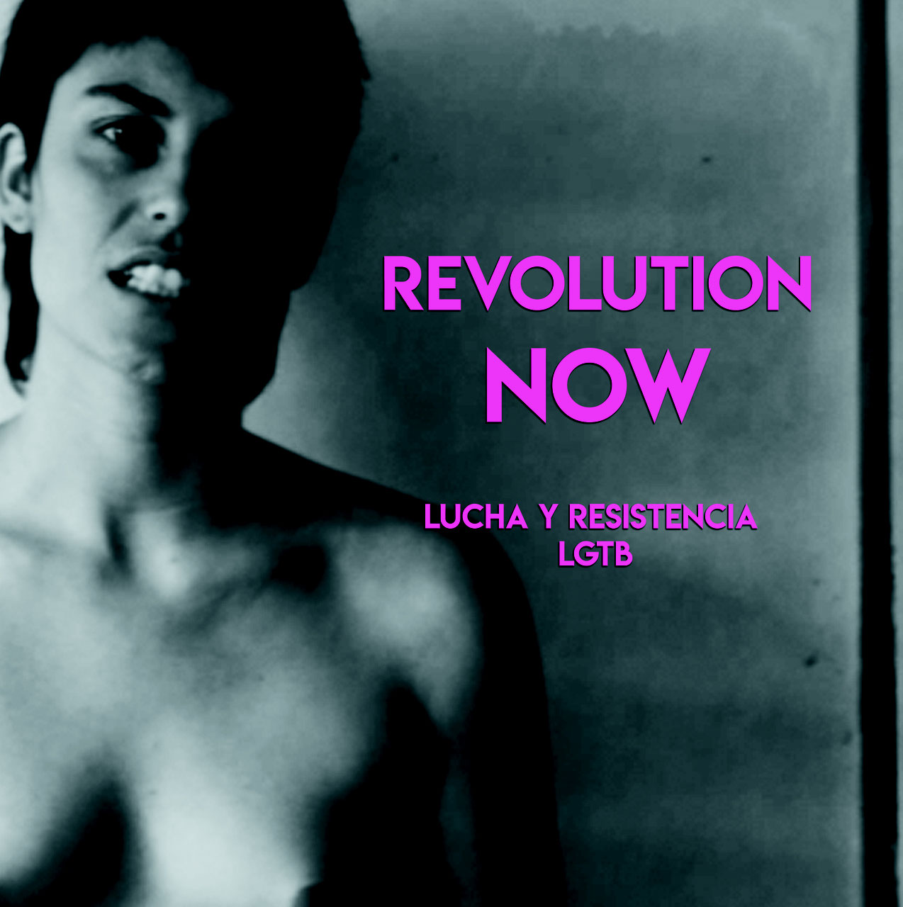 Revolution now: Lucha y resistencia LGTB