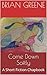 Come Down Softly: A Short Fiction Chapbook (Brian Greene Short Story Chapbooks 3)