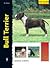 Bull Terrier (Excellence)