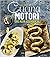 Cucina e motori: Das Alfa-K...