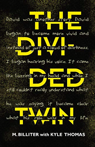 The Divided Twin (Kindle Edition)