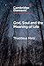 God, Soul and the Meaning of Life (Elements in the Philosophy of Religion)
