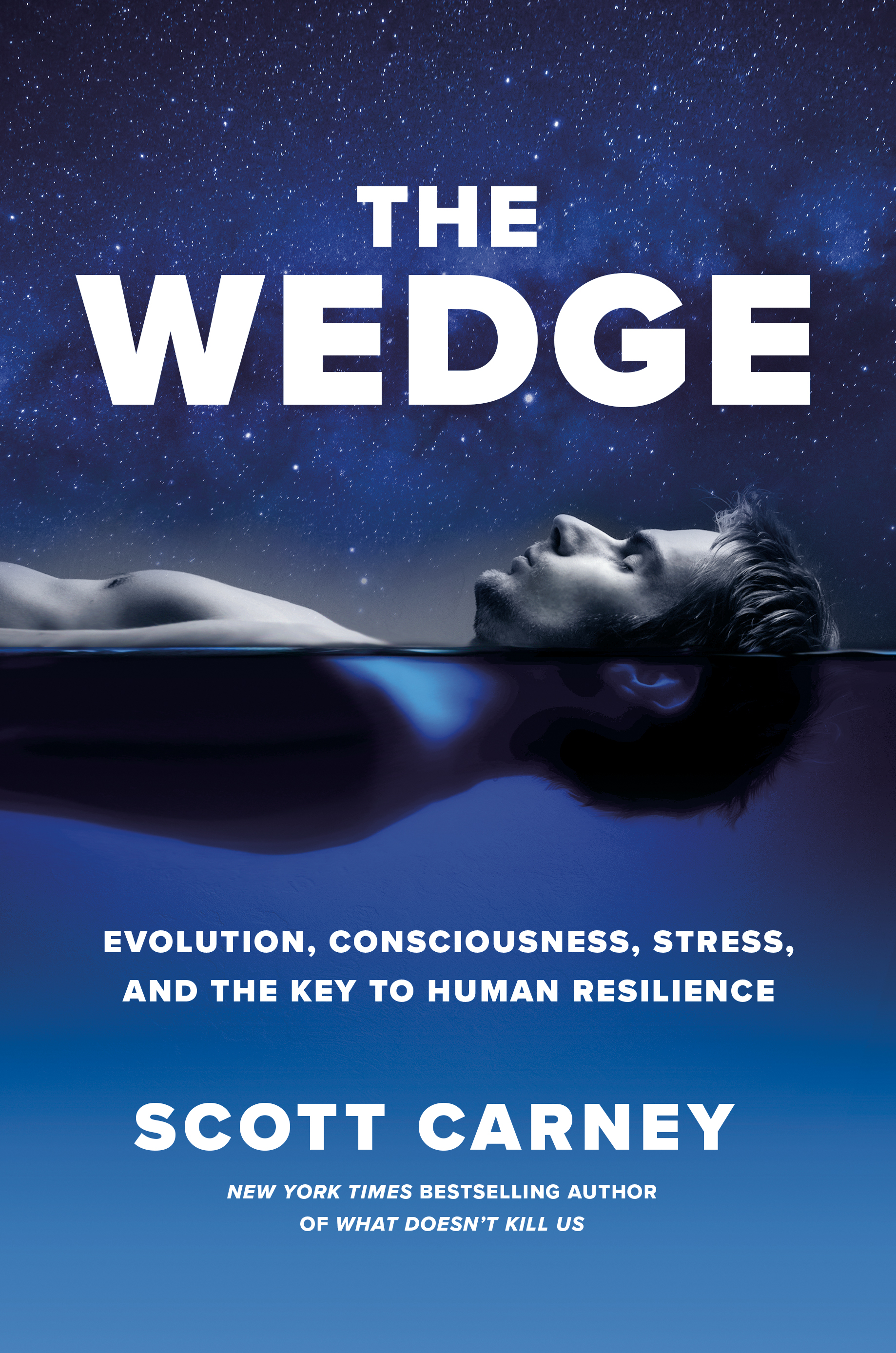 The Wedge: Evolution, Consciousness, Stress and the Key to Human Resilience (Kindle Edition)