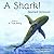 A Shark! Named Jamison