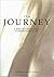 The Journey: A Bible for Seeking God & Understanding Life : New International Version