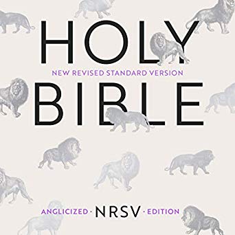 Holy Bible: New Revised Standard Version - Anglicised Edition Audible Audiobook – Unabridged